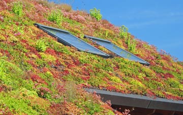 Charfield living roof systems